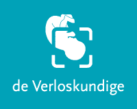 logo deVerloskundige